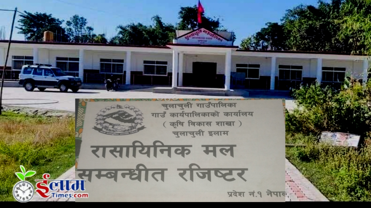 मलमा मनपरी गर्दै चुलाचुलीका सहकारीहरू