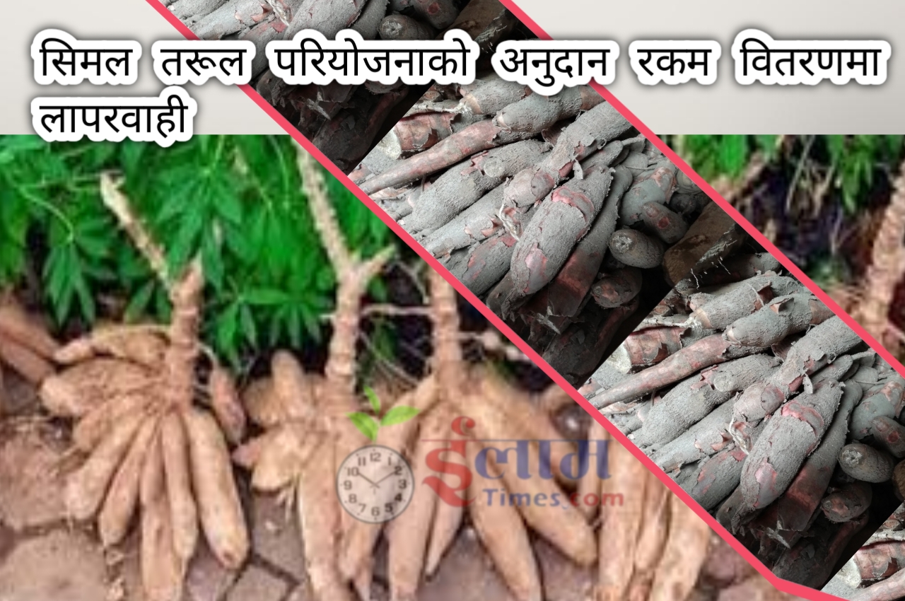 सिमल तरूल परियोजनाको अनुदान रकम वितरणमा लापरवाही
